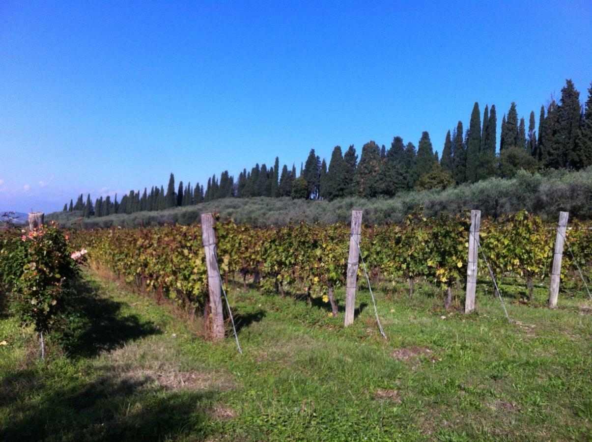 Villa Dei Cipressi Wine Resort Sona Kültér fotó