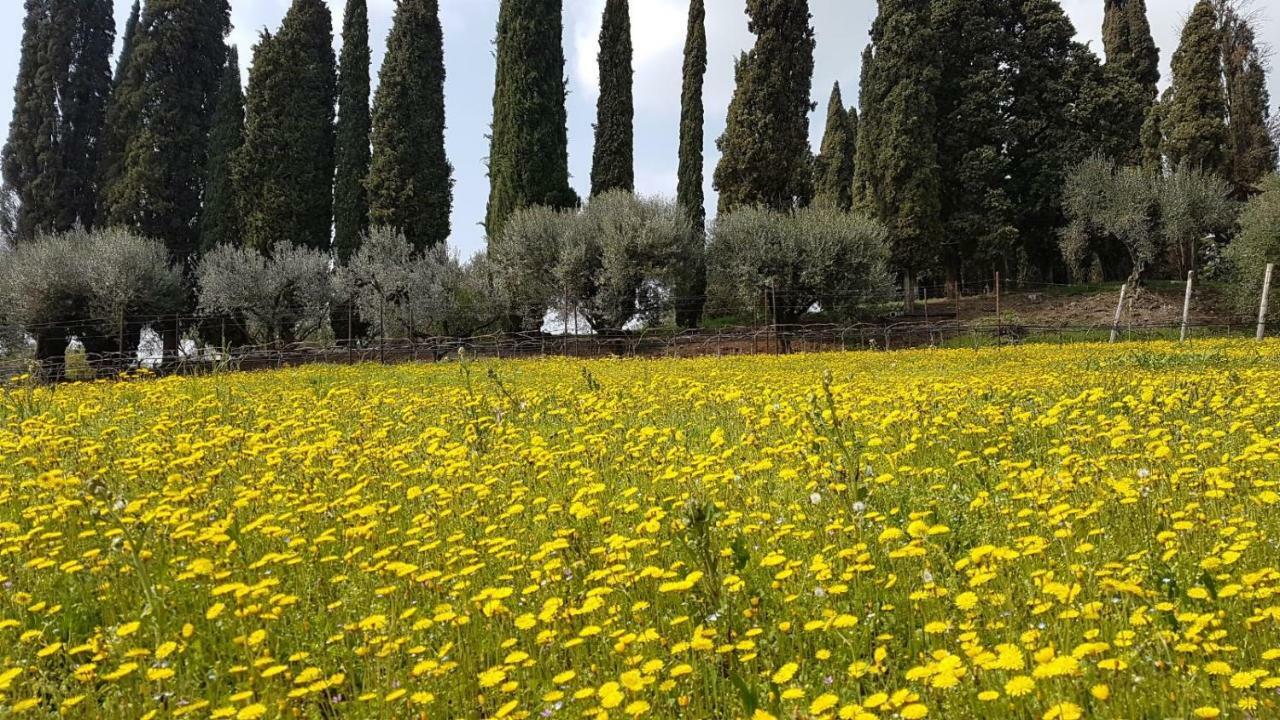Villa Dei Cipressi Wine Resort Sona Kültér fotó